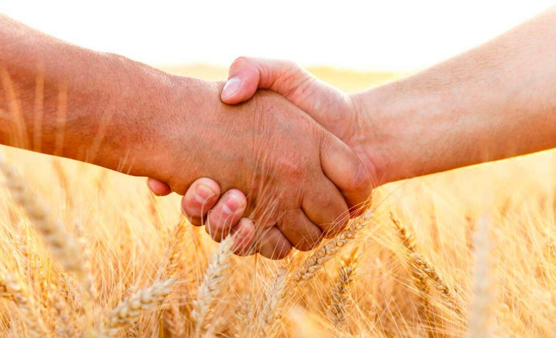 Agricultores dando-se as mãos numa lavoura de trigo