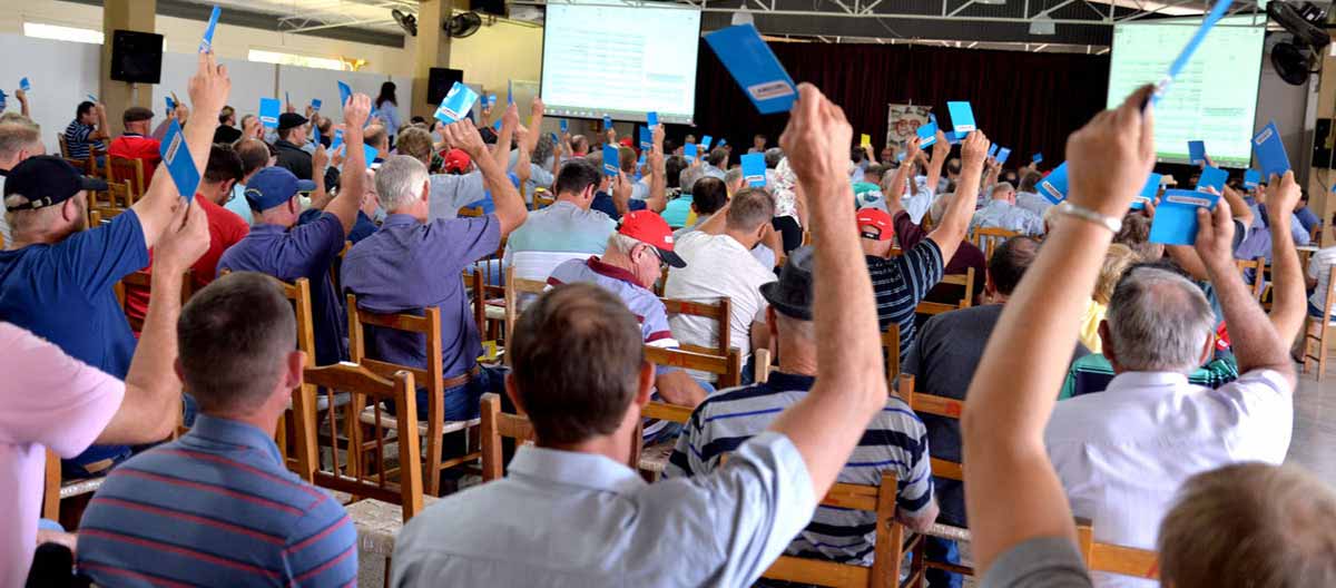 Assembleia de uma cooperativa