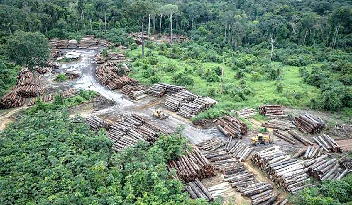 Desmatamento na Amazônia