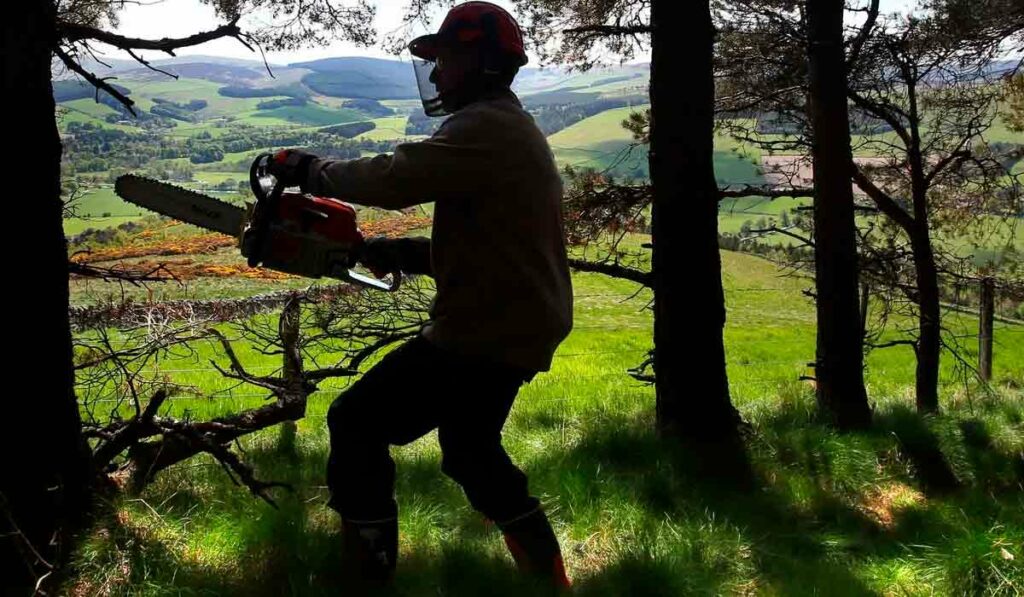 Operador de motosserra pronto para iniciar o corte de uma árvore na Europa
