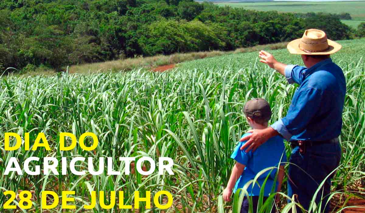 Agricultor com um jovem em lavoura de sua propriedade