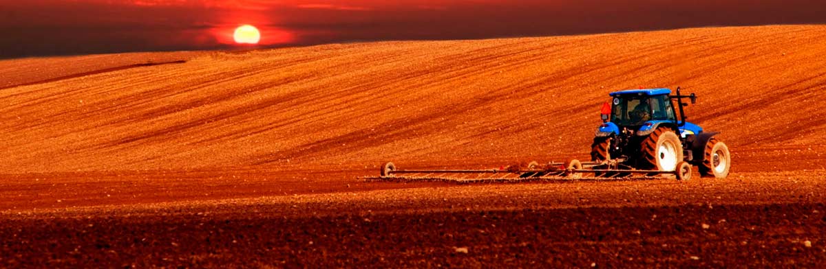 Agricultor em trabalho no trator com por do sol no horizonte