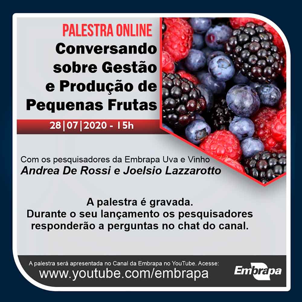 Chamada da palestra virtual da Embrapa "Conversando sobre Gestão e Produção de Pequenas Frutas"