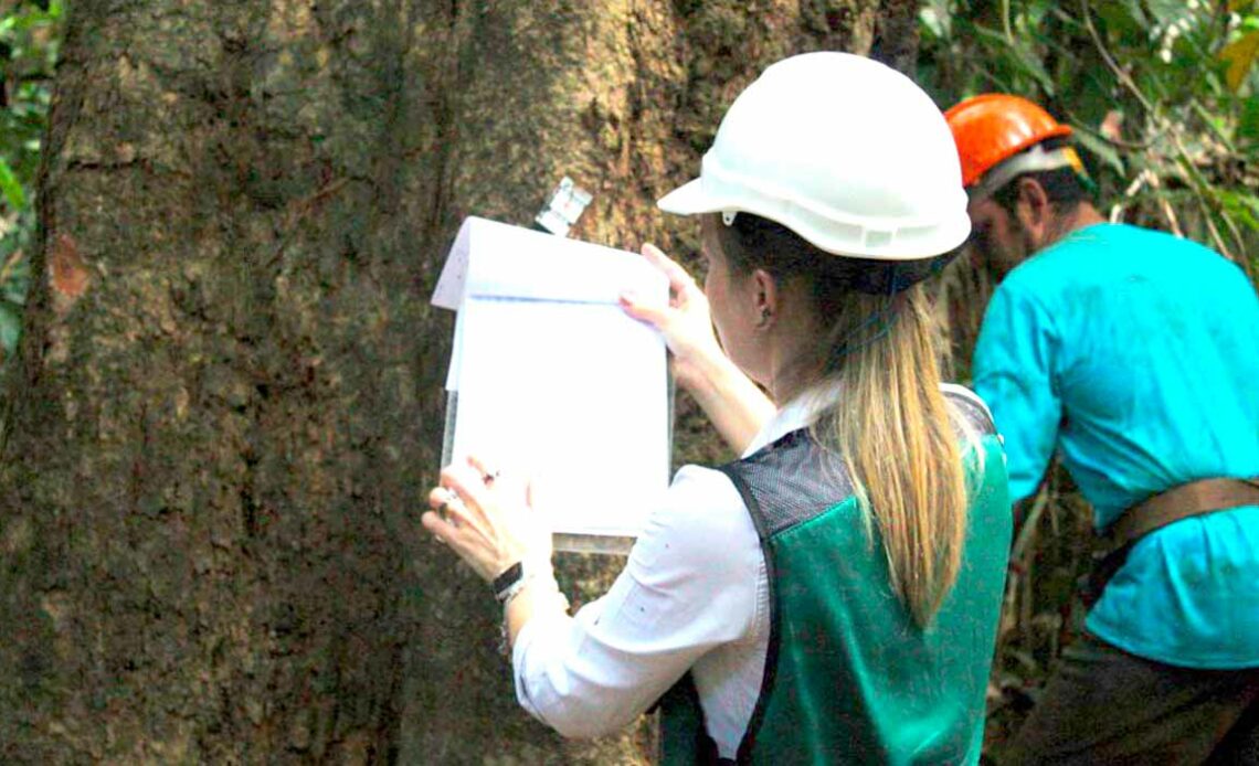 Engenheira Florestal em trabalho de inventário florestal na mata