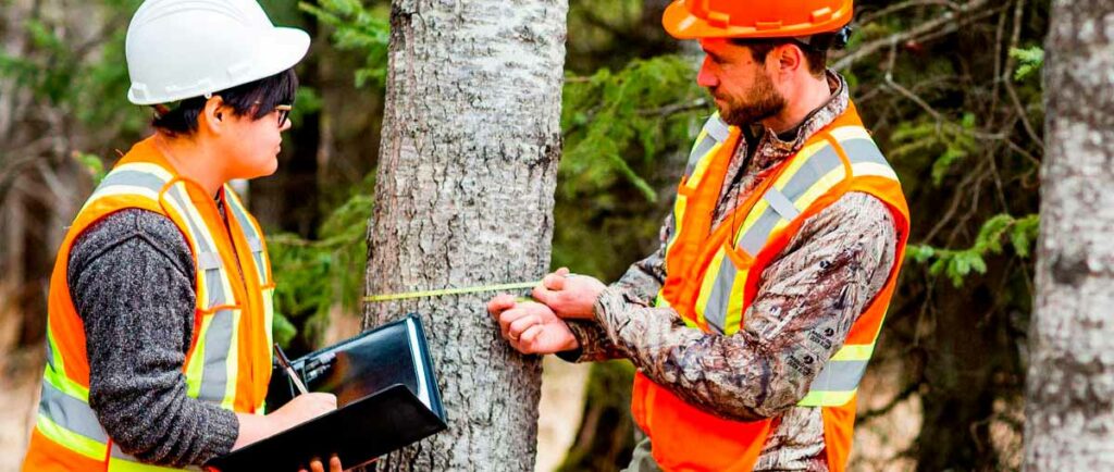 Engenheiros Florestais em trabalho de inventário florestal na mata
