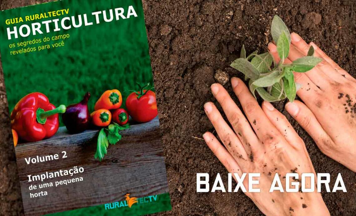 Guia RuraltecTV Horticultura Volume 2 - IMPLANTAÇÃO de uma pequena horta