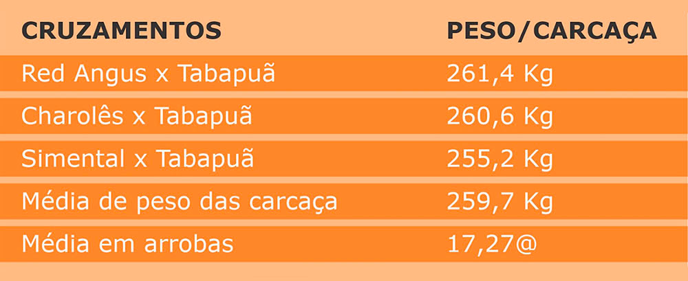 Tabela 1 - Cruzamentos - peso/carcaça