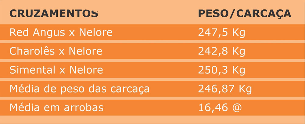 Tabela 2 - Cruzamentos - peso/carcaça