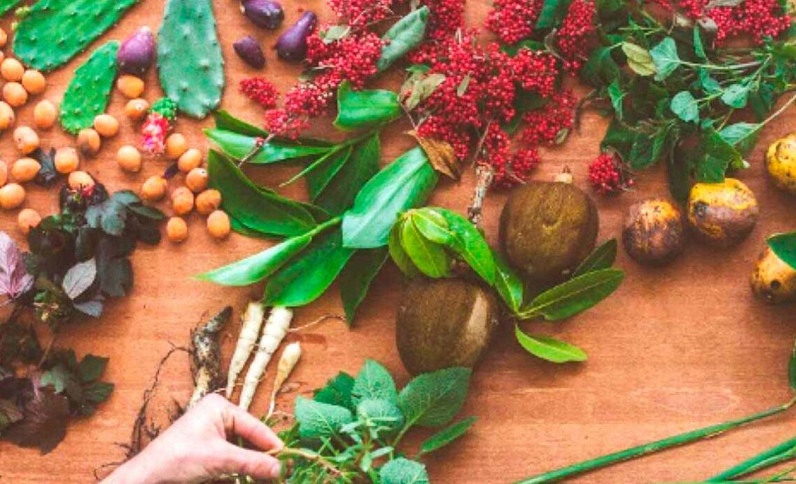 Plantas alimentícias não convencionais (PANCs) sobre a mesa