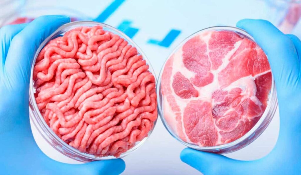 Laboratório de alimentos - Pesquisa em carne