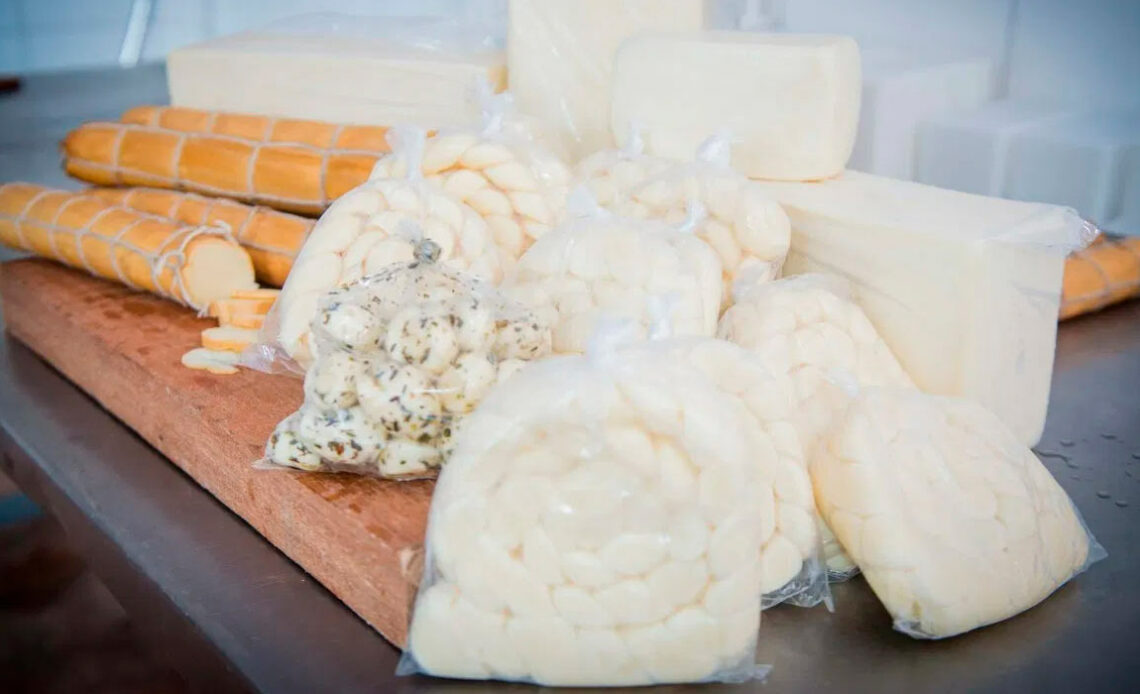 Queijaria artesanal de Goiás - vários tipos de queijos sobre a mesa
