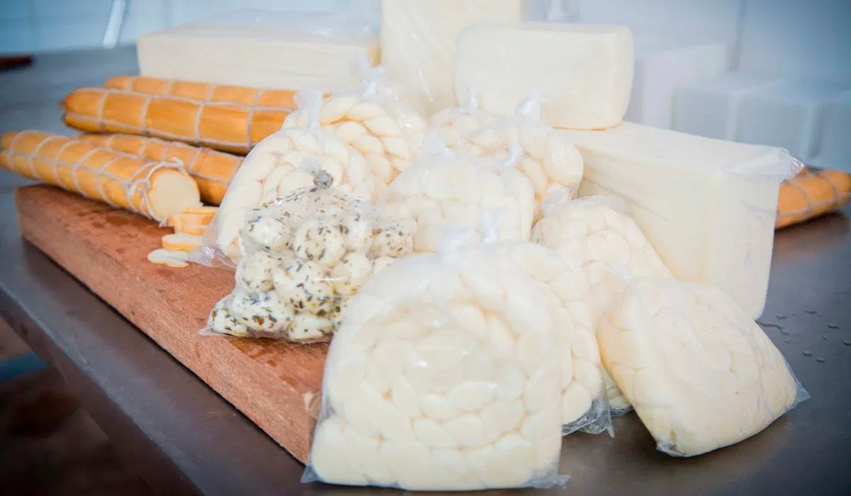 Queijaria artesanal de Goiás - vários tipos de queijos sobre a mesa