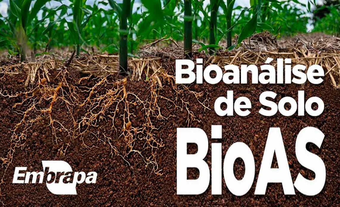 Bioanálise de solo BioAs Embrapa