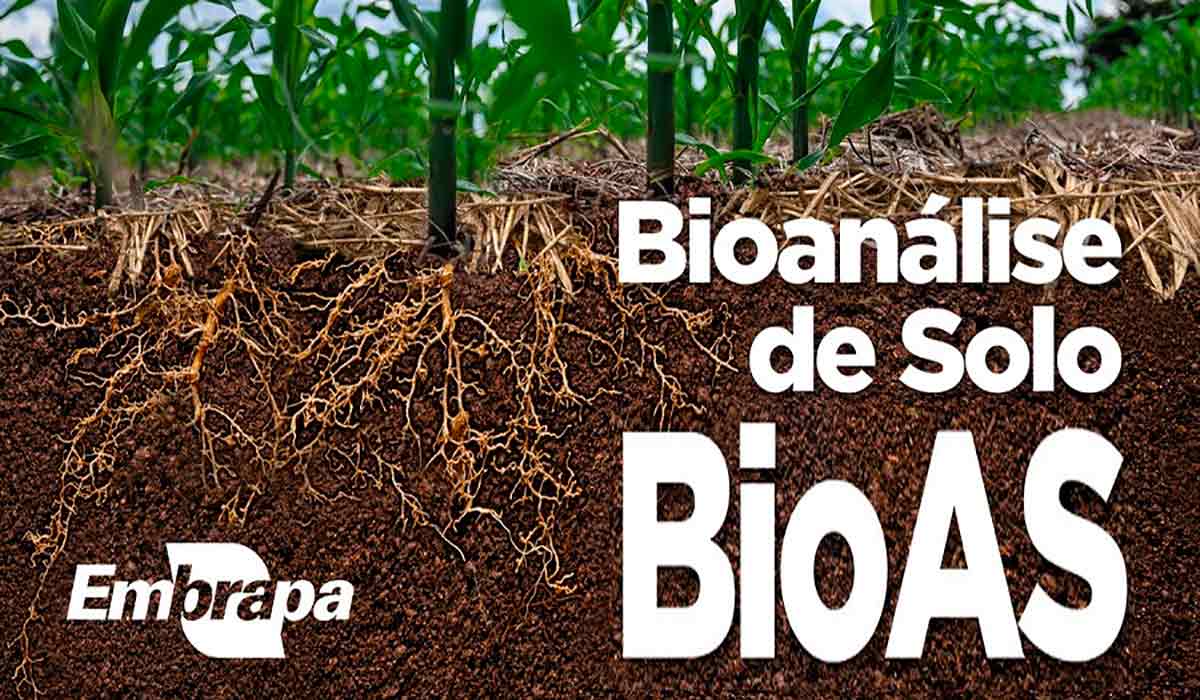 Bioanálise de solo BioAs Embrapa