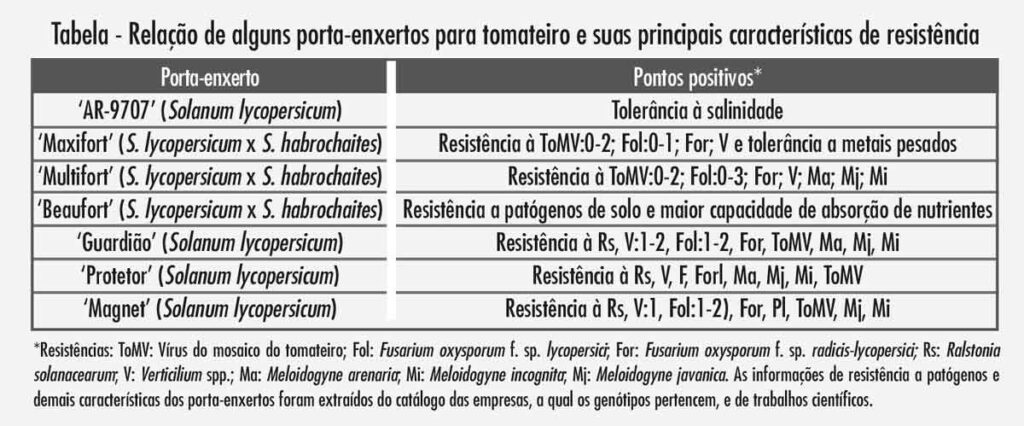 Tabela - Relação de alguns porta-enxertos para tomateiros e suas principais características de resistência