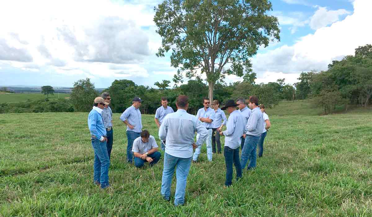 Equipe unida em trabalho de campo