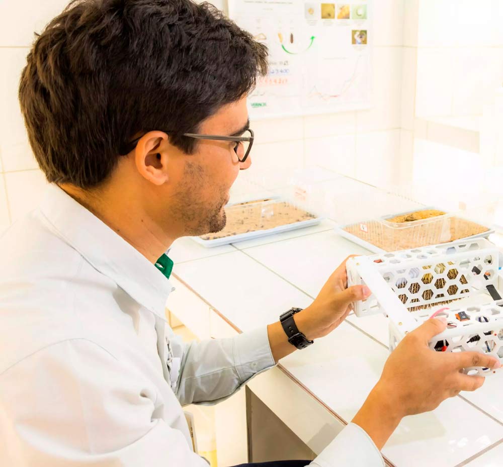Laboratório de criação de inimigos naturais de Veracel Laboratório de criação de inimigos naturais de Veracel
