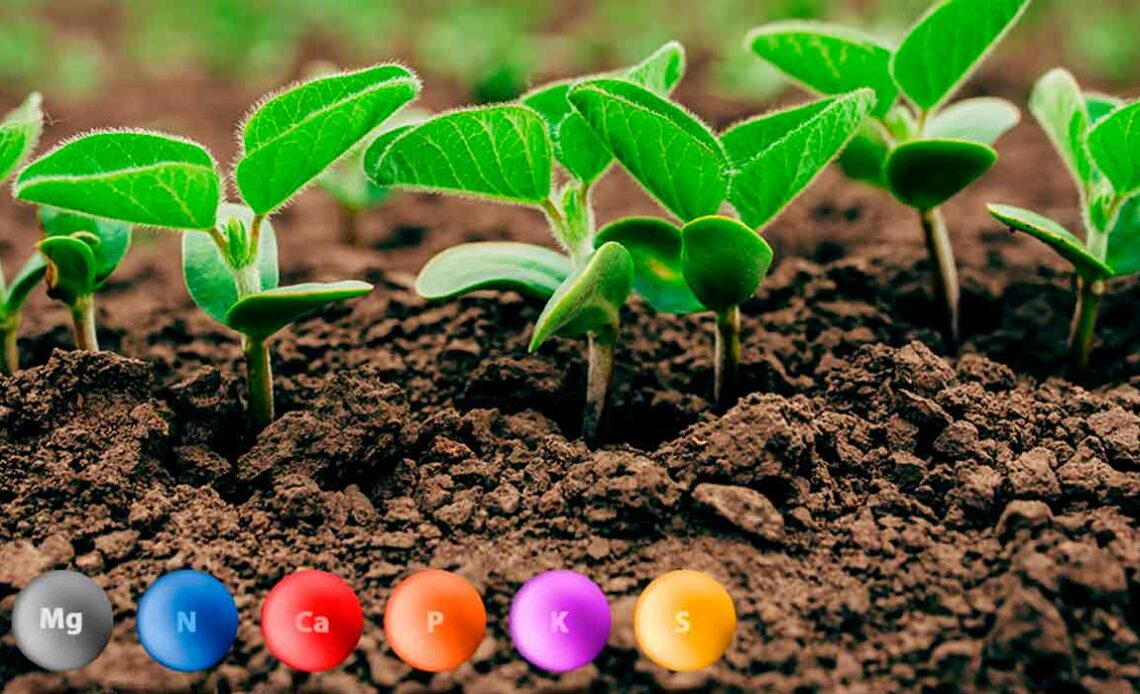 Lavoura de soja no início do desenvolvimento com esferas coloridas no solo representando os diversos elementos químicos importantes na nutrição das plantas