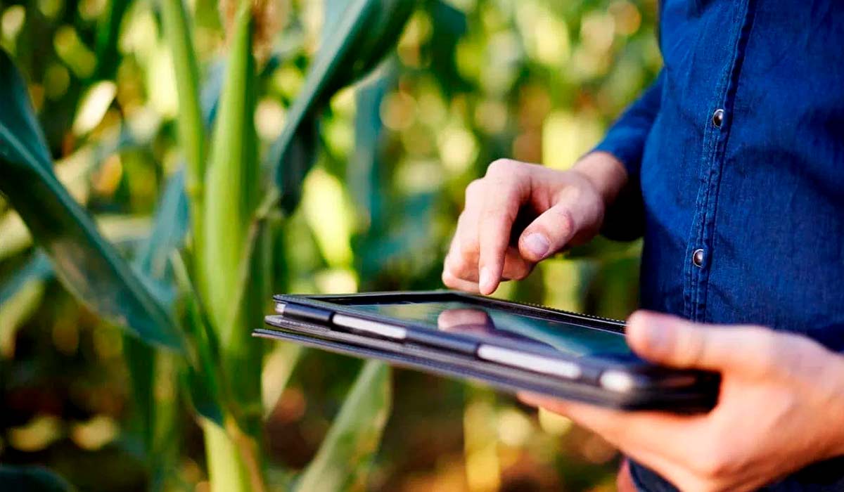 Produtor rural realizando o inventário de sua propriedade