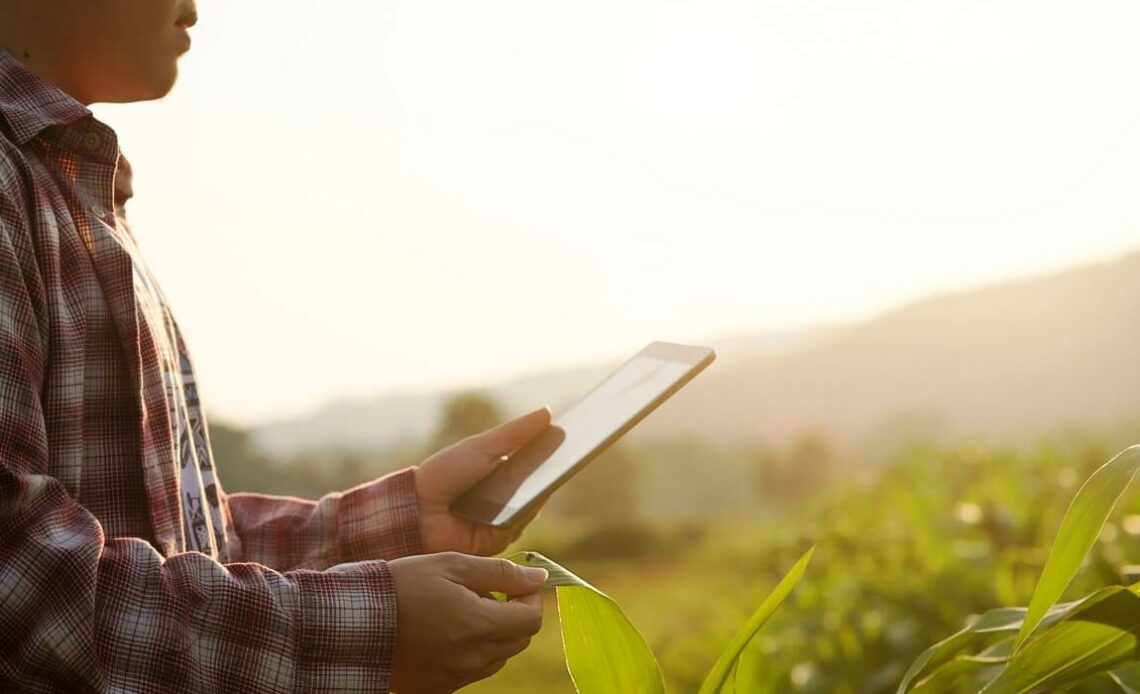 Agricultor com celular na sua lavoura