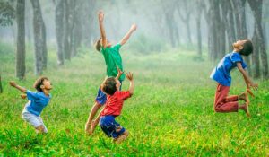 Meninos brincando numa área de bosque