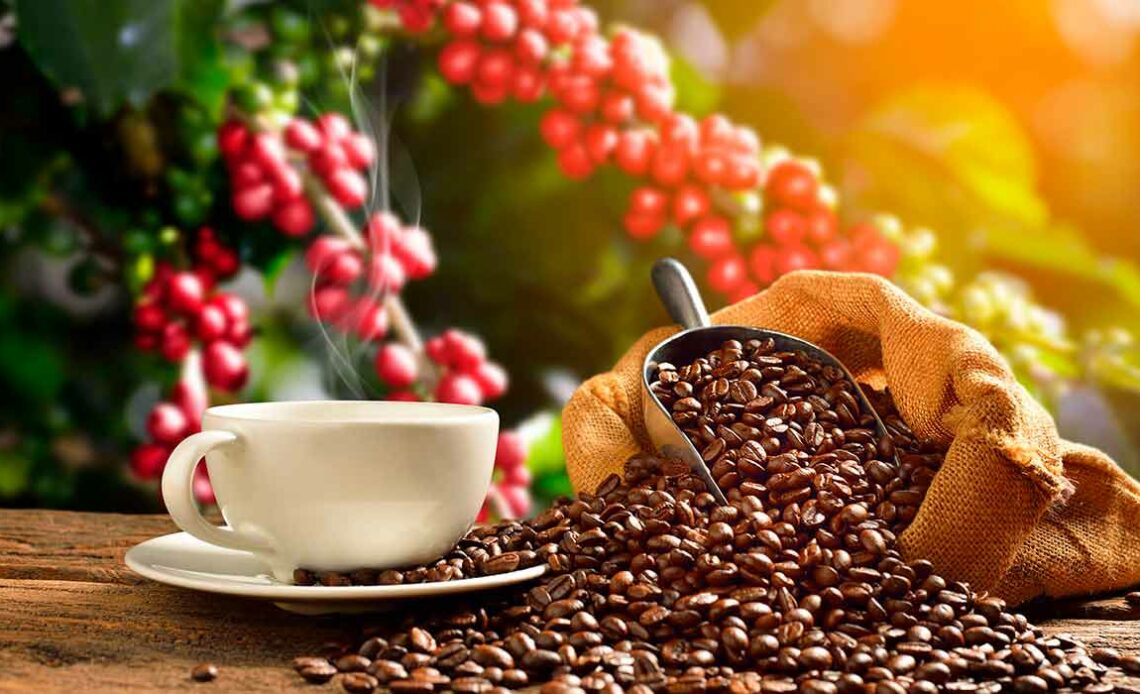 Xícara de café à mesa com grãos de café e cafeeiro carregado ao fundo