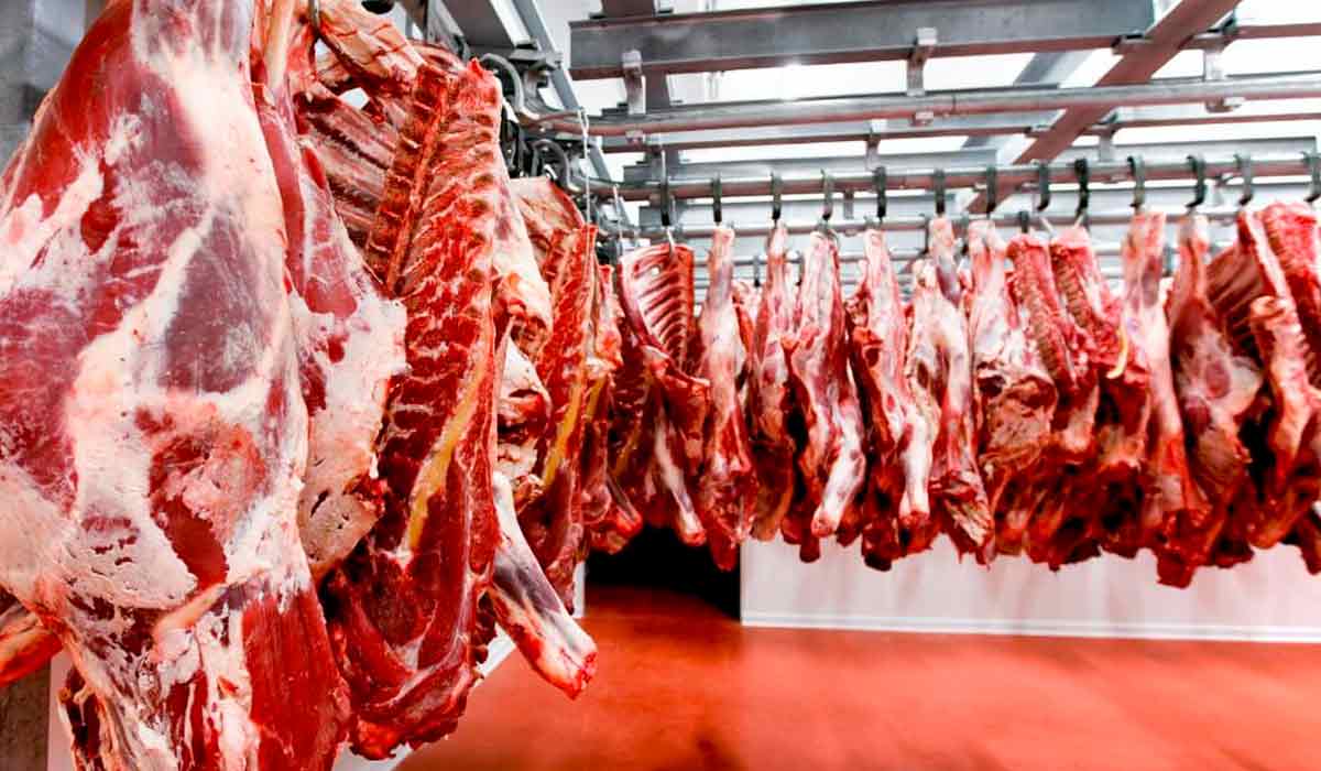 Frigorífico de processamento de carne bovina