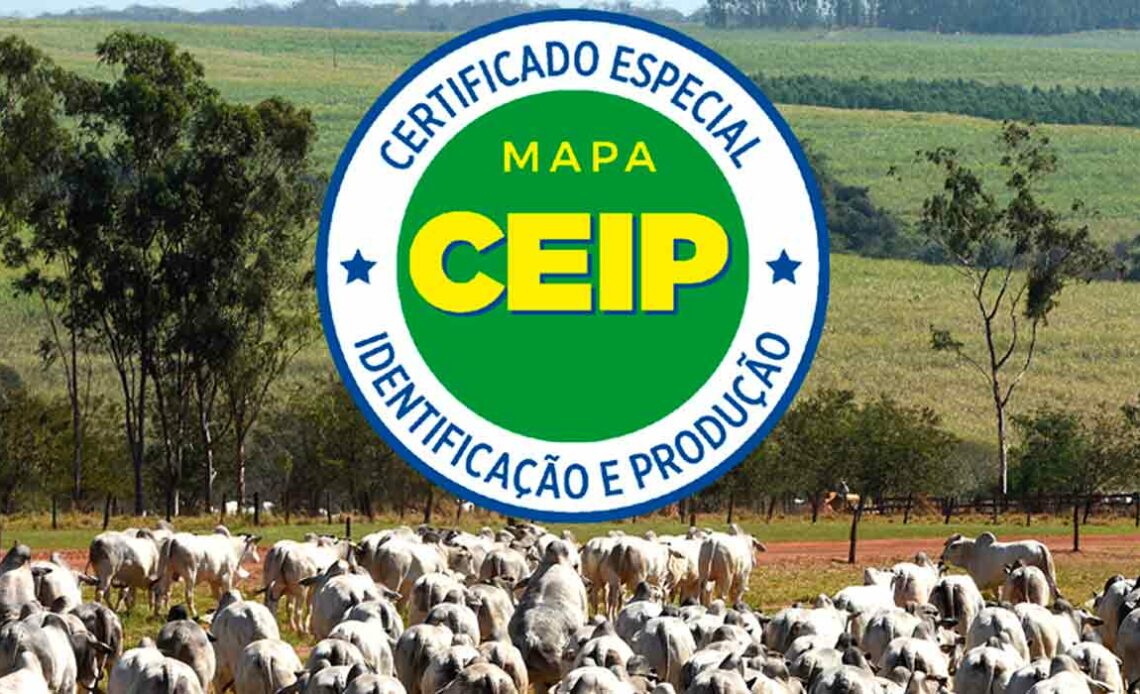 Selo CEIP - MAPA com boiada nelore certificada