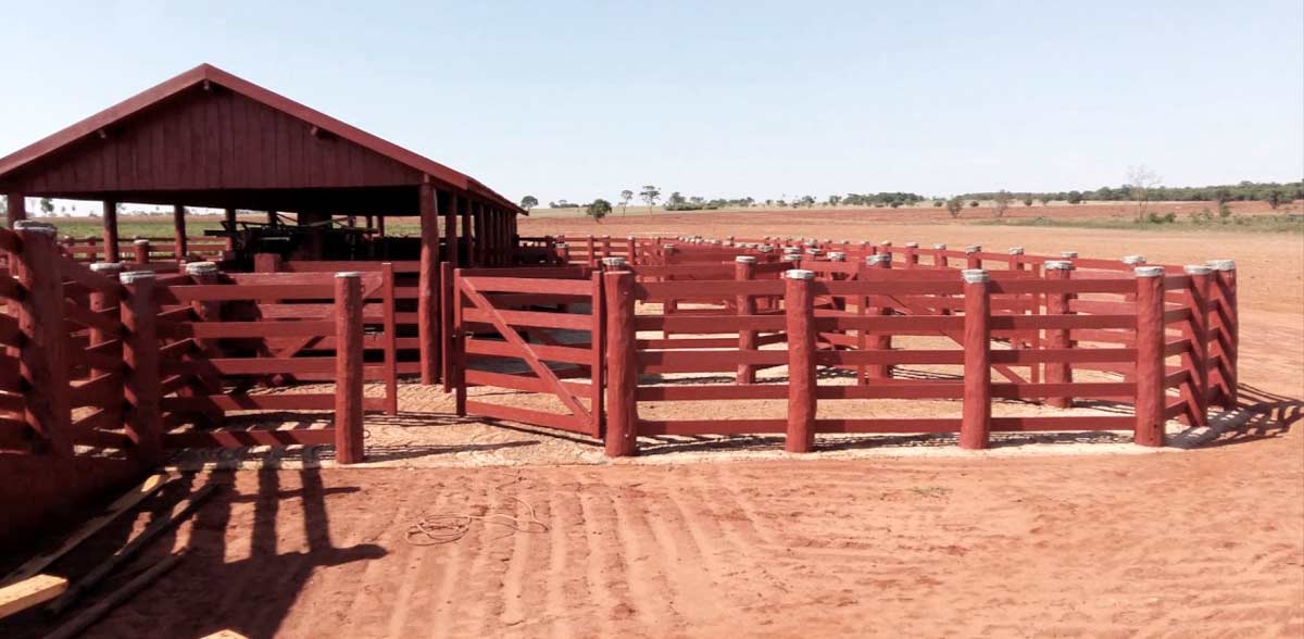 Curral de manejo bovino