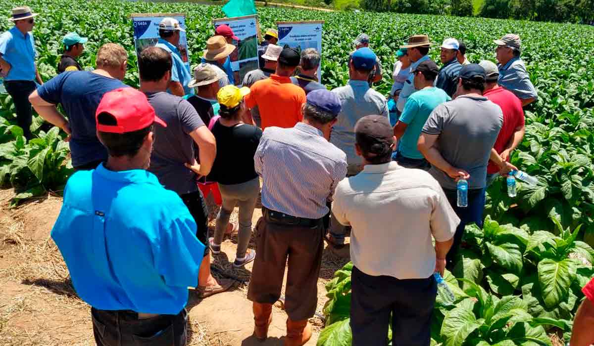 Equipe em dia de campo para capacitação