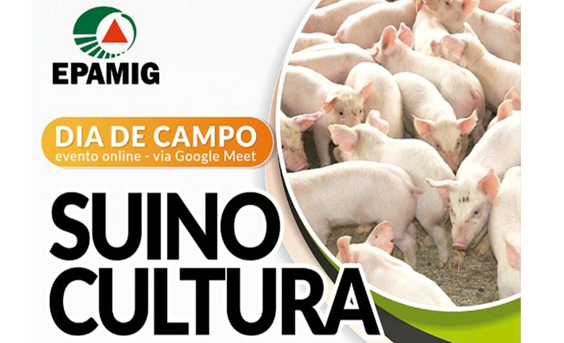 Banner promocional do Dia de Campo sobre suinocultura de EPAMIG