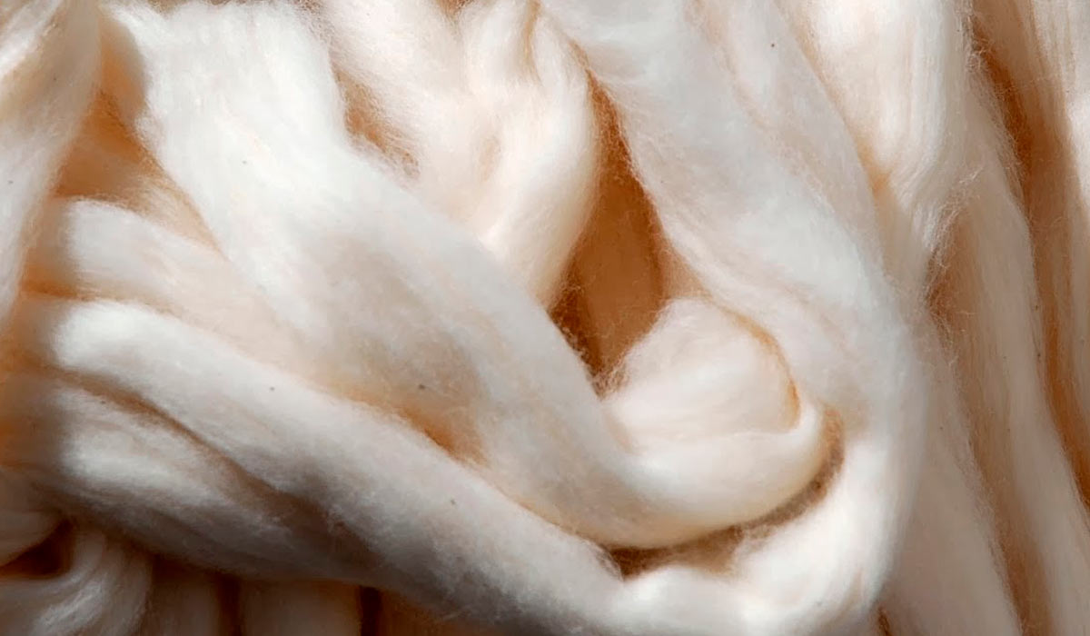 Fibras naturais de algodão