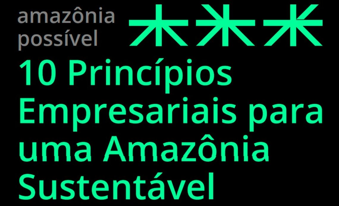 Capa do Guia "10 Princípios Empresariais para uma Amazônia Sustentável"