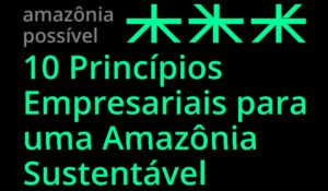 Capa do Guia "10 Princípios Empresariais para uma Amazônia Sustentável"