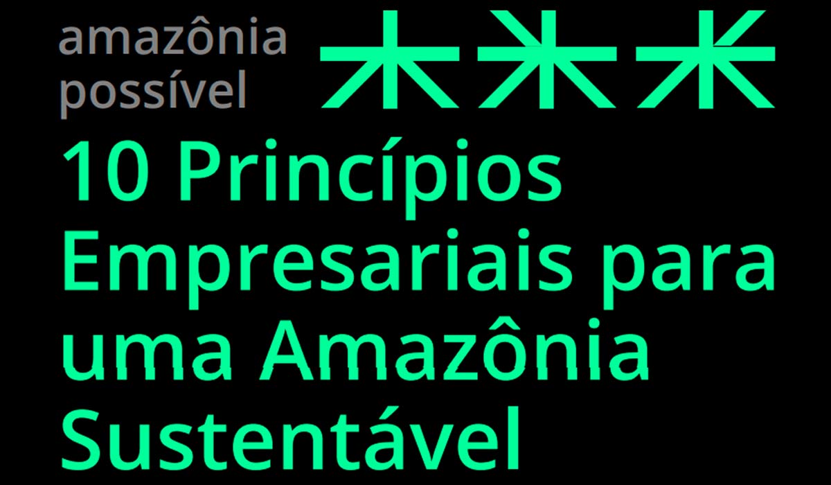 Capa do Guia "10 Princípios Empresariais para uma Amazônia Sustentável"