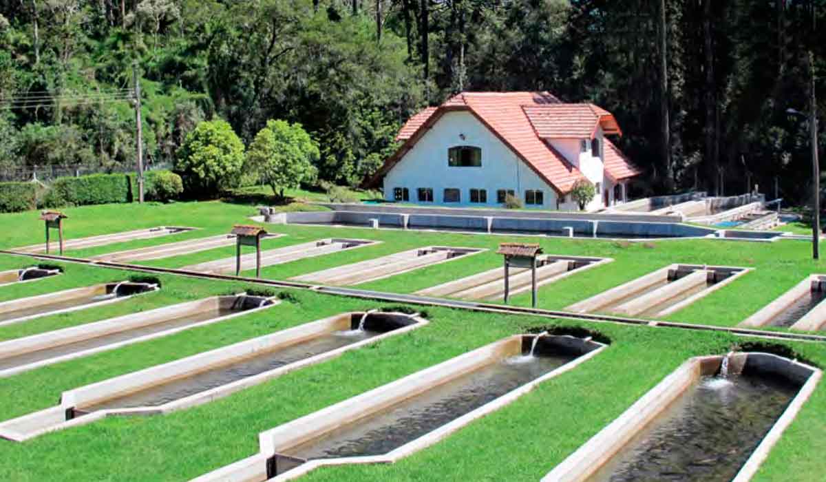 Estação de Truticultura do Instituto de Pesca de Campos do Jordão, SP