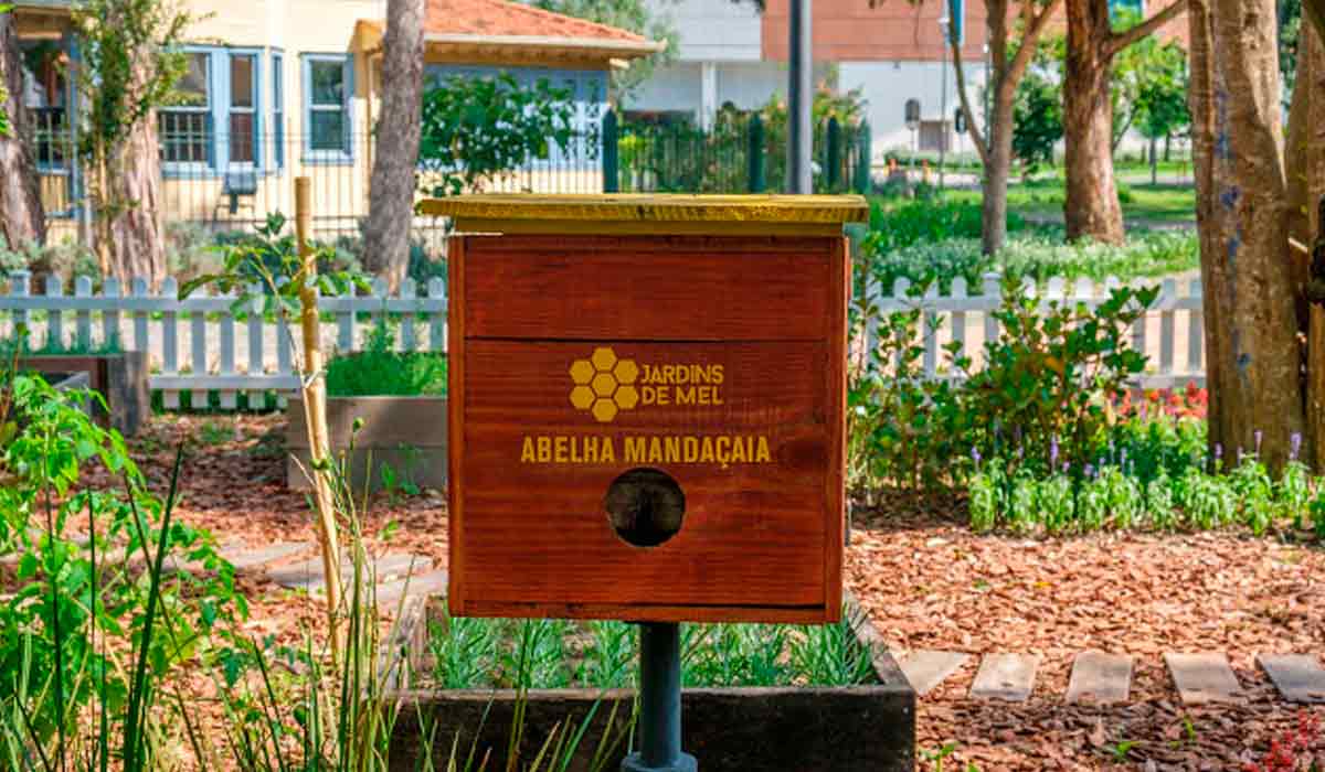 Colônia de abelha nativa mandaçaia (Melipona quadrifasciata) nos jardins de Curitiba/PR