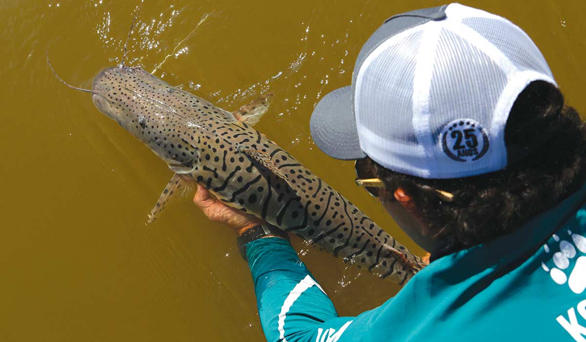 Pescador soltando uma cachara