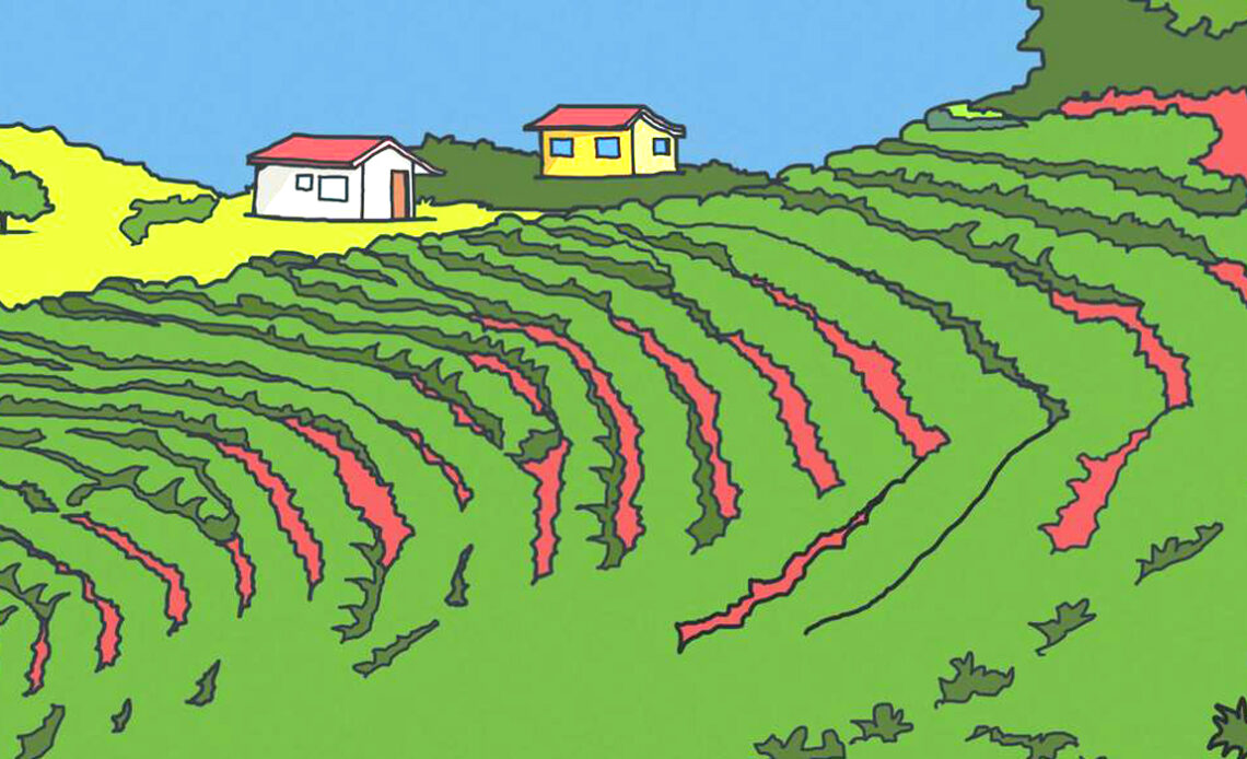 Ilustração de uma propriedade rural