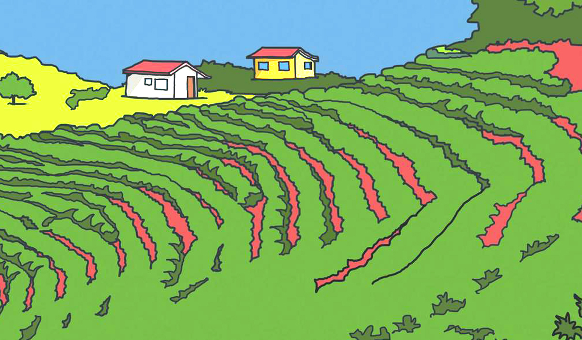 Ilustração de uma propriedade rural
