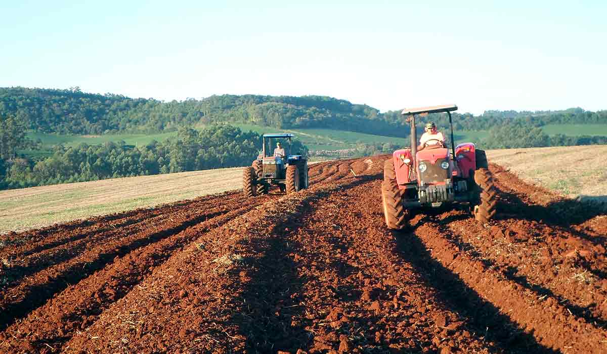 Tratores em trabalho de terraceamento