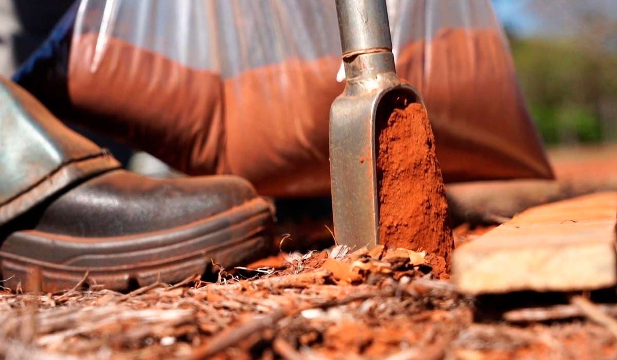 Agricultor coletando amostra de solo para análise