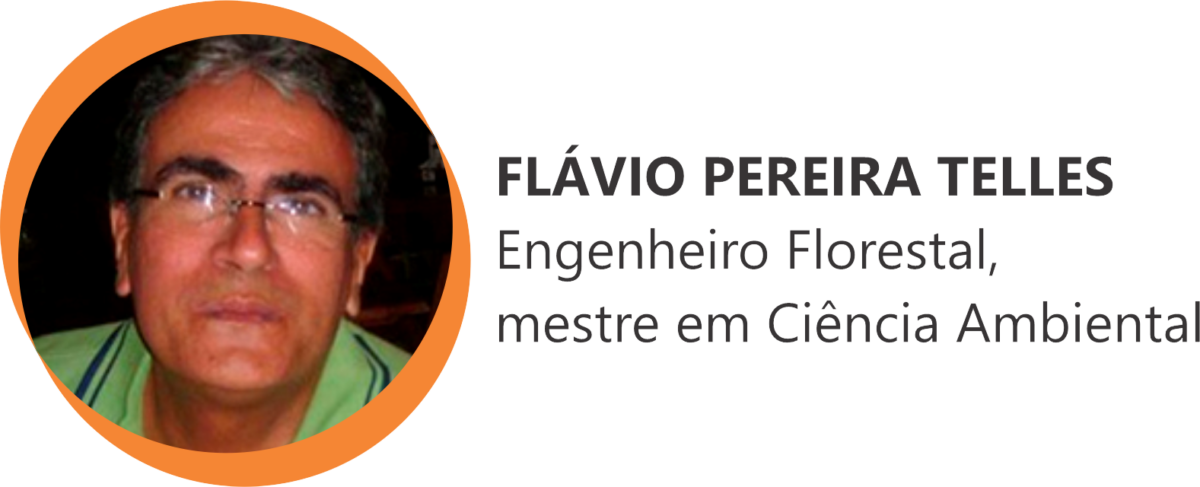 Flávio Pereira Telles - Engº. Florestal, Mestre em Ciência Ambiental