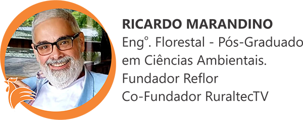 Ricardo José Marandino Teixeira