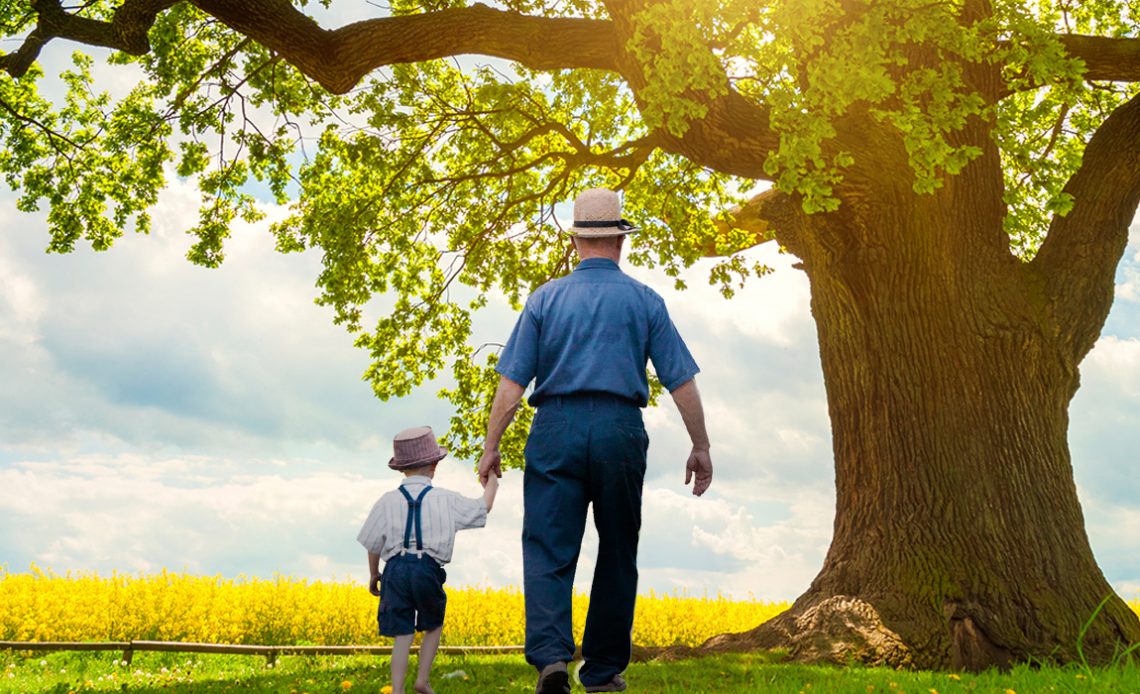 Fazendeiro de mãos dadas com a futura geração junto de uma bela árvore em sua propriedade com lavoura ao fundo