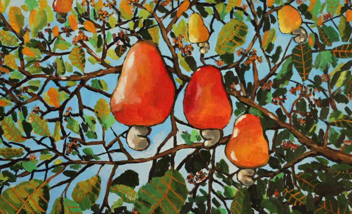 Cajueiro com frutos - pintura - Anacardium occidentale