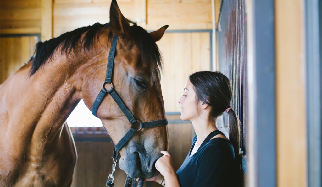 Cavalo na cocheira com sua dona