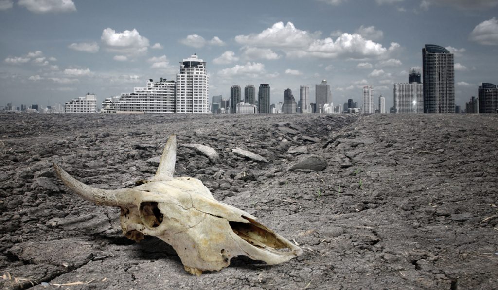 Habitat adjacente à área urbana destruído com destaque para o crânio de um bovídeo e a megalópole ao fundo