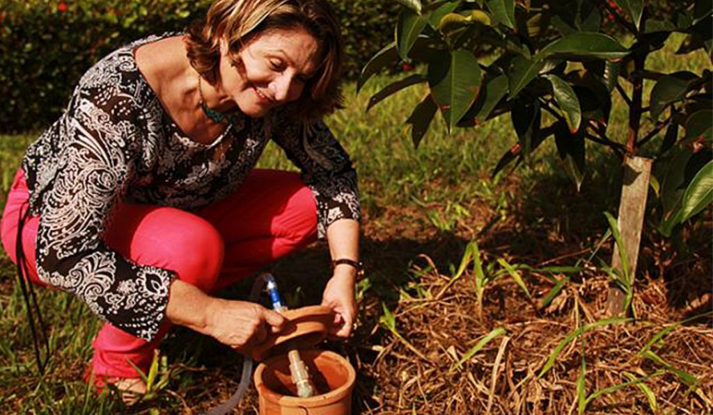 Pesquizadora Dra. Lucieta Martorano da Embrapa Amazônia Oriental demonstrando o sistema irrigapote
