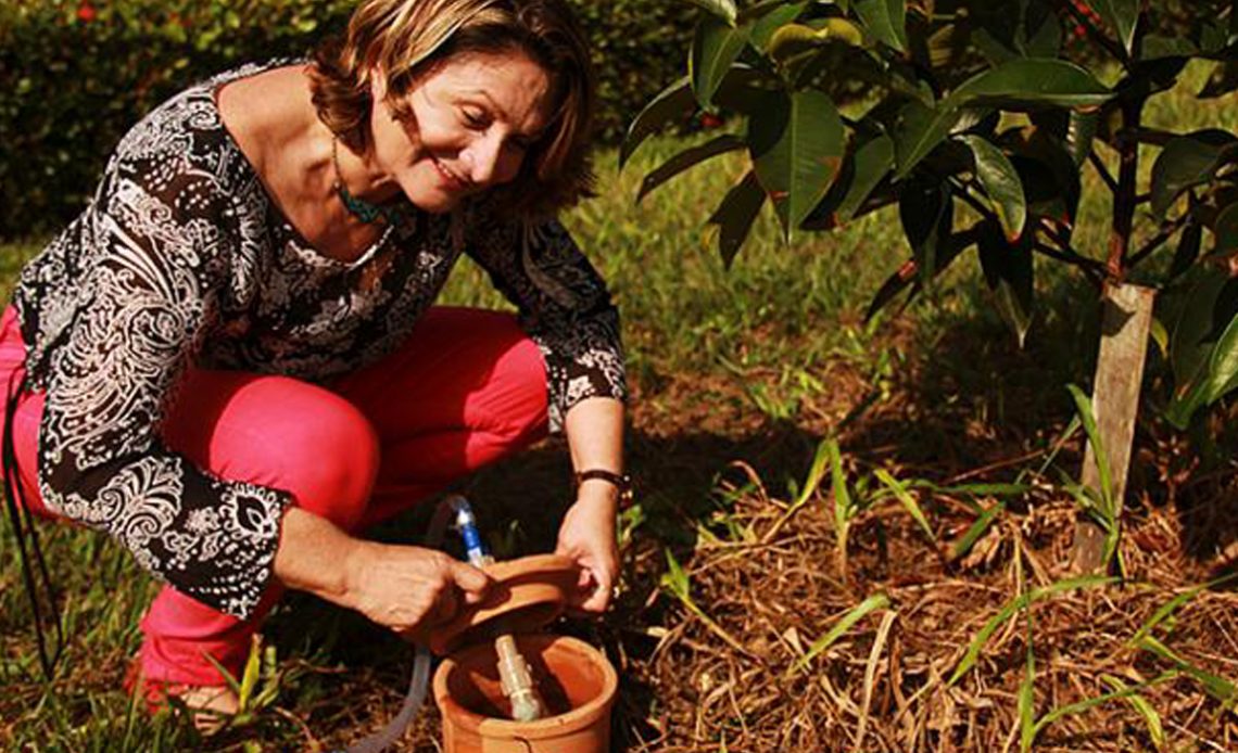 Pesquizadora Dra. Lucieta Martorano da Embrapa Amazônia Oriental demonstrando o sistema irrigapote